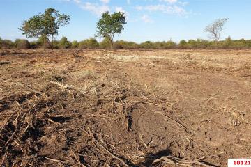 Фото №3: Земельный участок 6 сот. - Старокорсунская, мкр. Карасунский внутригородской округ, пр-д Владимирский