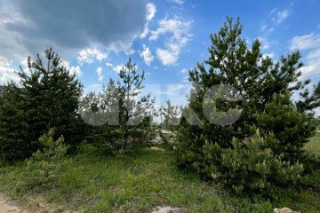 Фото №3: Земельный участок под ИЖС - Московская область Раменский муниципальный округ