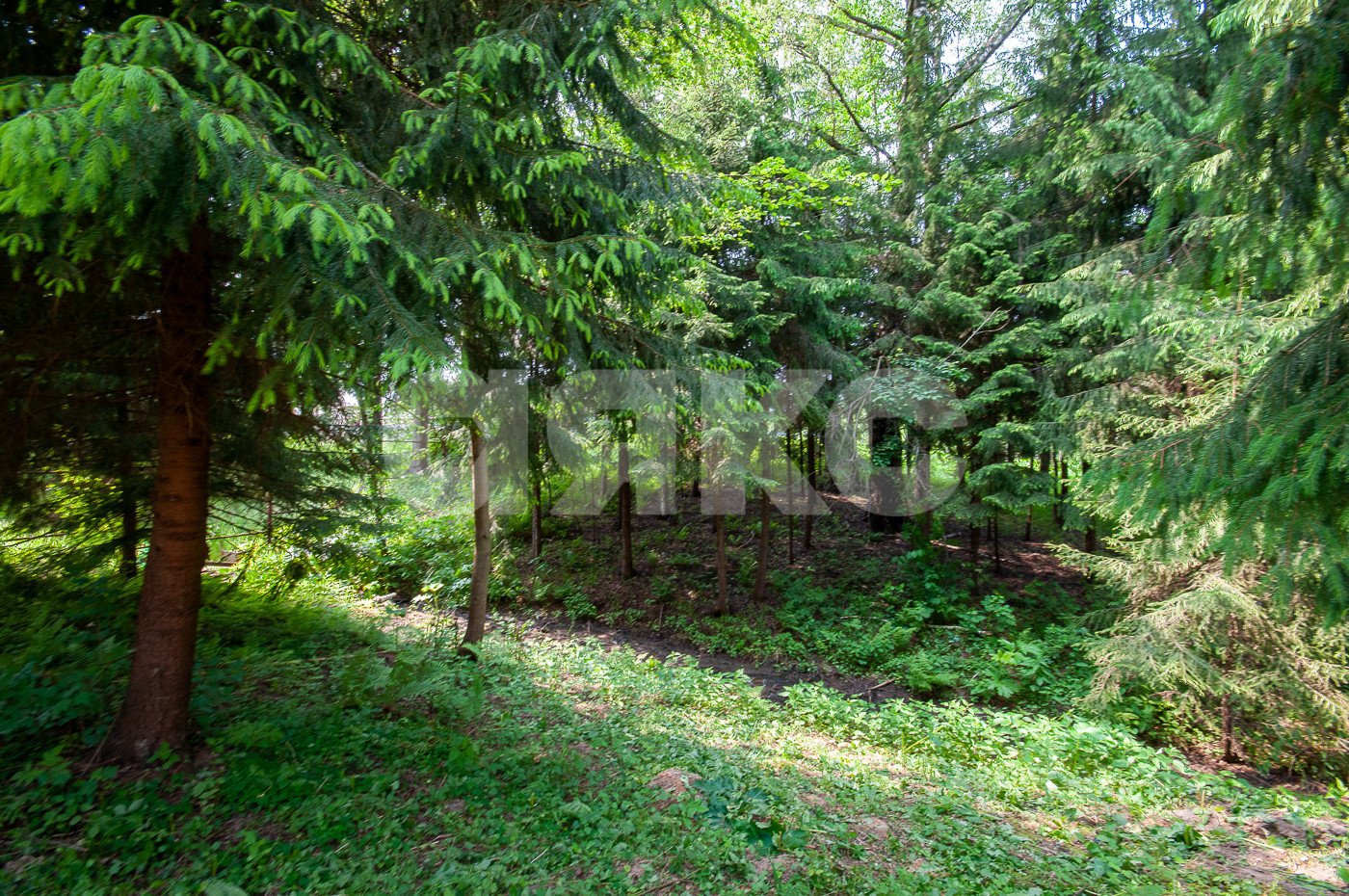 Фото №44: Земельный участок под ИЖС 5750 сот. - Овсянниково