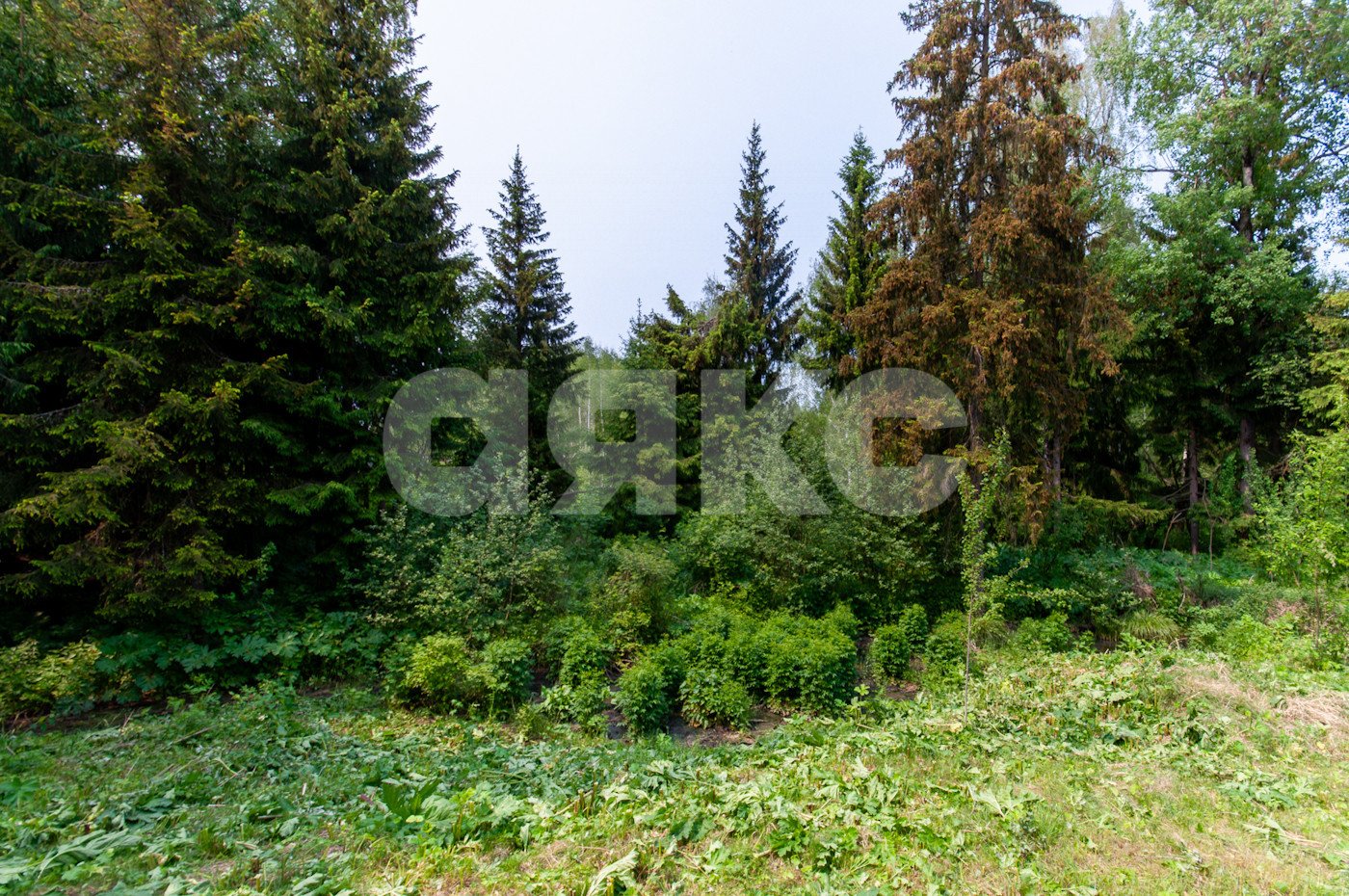 Фото №17: Земельный участок под ИЖС 5750 сот. - Овсянниково