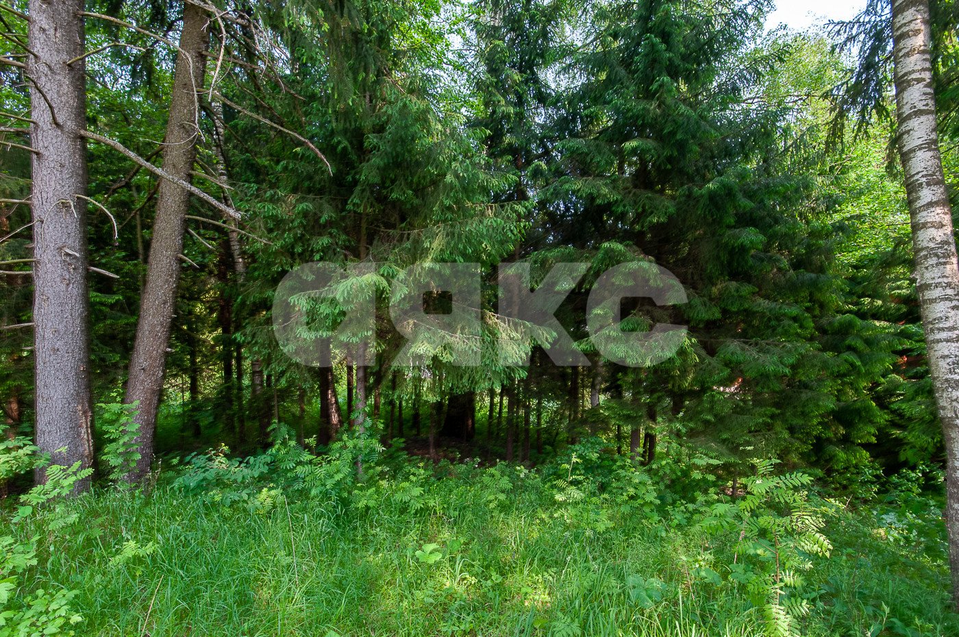 Фото №41: Земельный участок под ИЖС 5750 сот. - Овсянниково