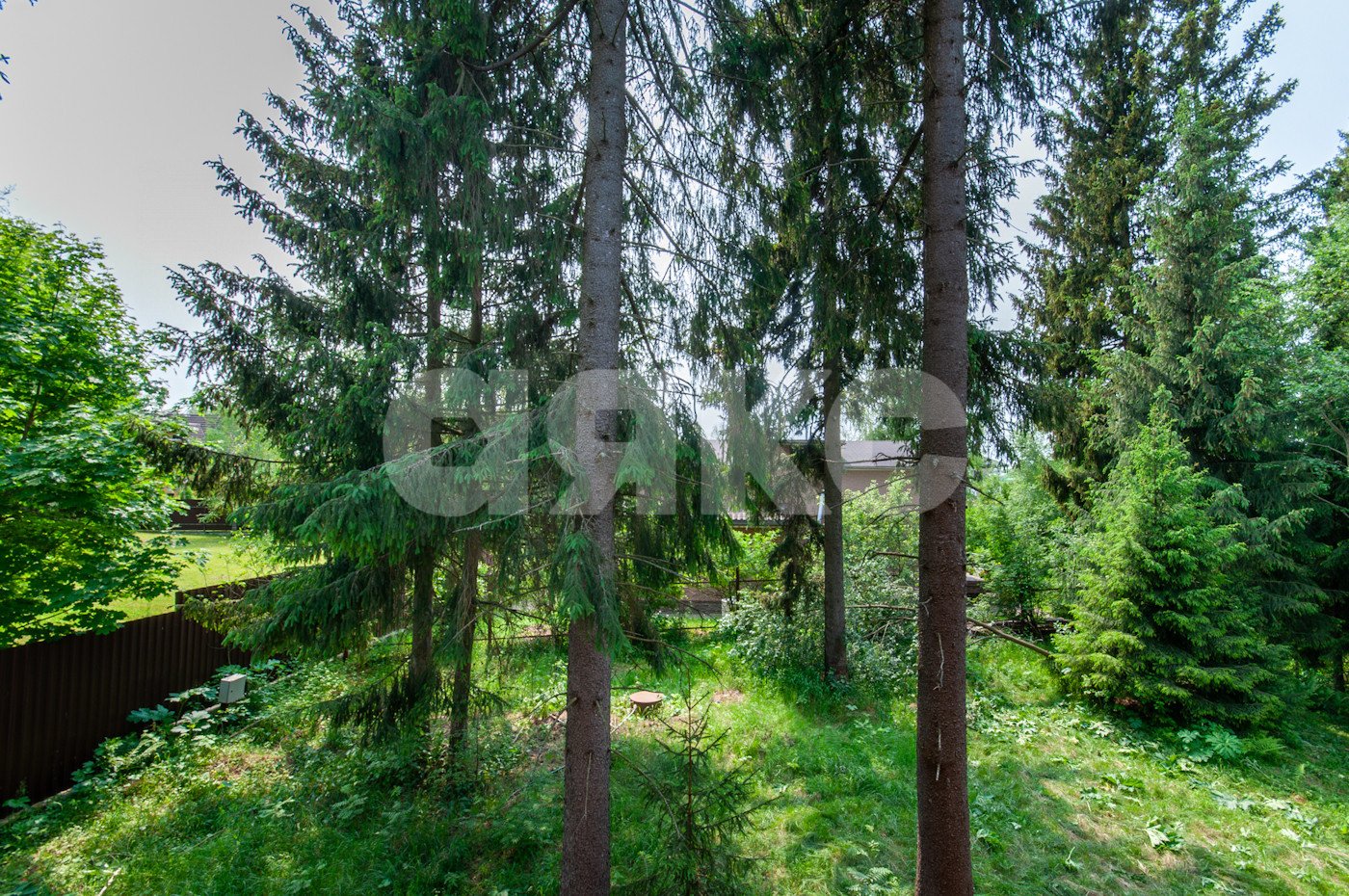 Фото №43: Земельный участок под ИЖС 5750 сот. - Овсянниково