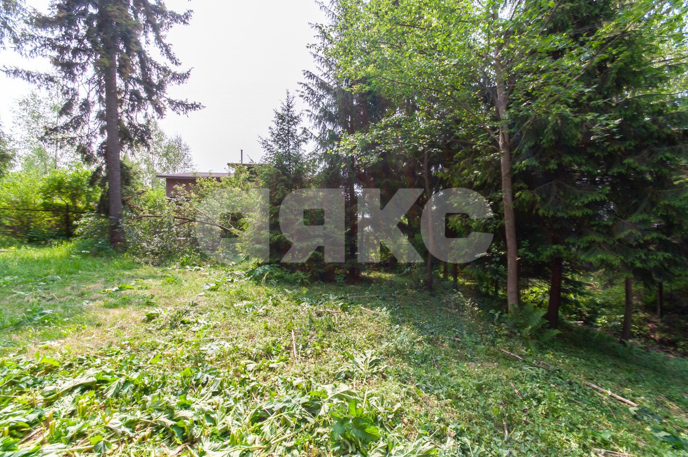 Фото №15: Земельный участок под ИЖС 5750 сот. - Овсянниково