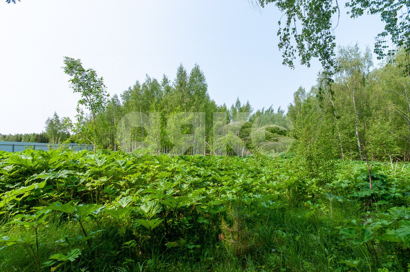 Фото №22: Дом 500 м² + 5750 сот. - Овсянниково, 3/6