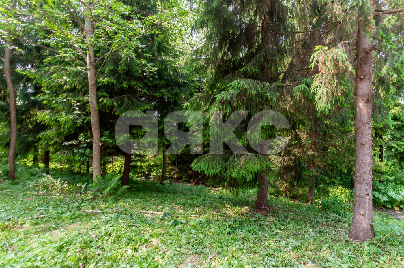 Фото №20: Дом 500 м² + 5750 сот. - Овсянниково, 3/6