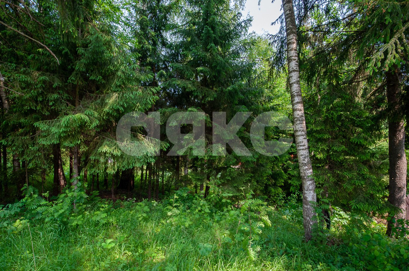 Фото №21: Дом 500 м² + 5750 сот. - Овсянниково, 3/6