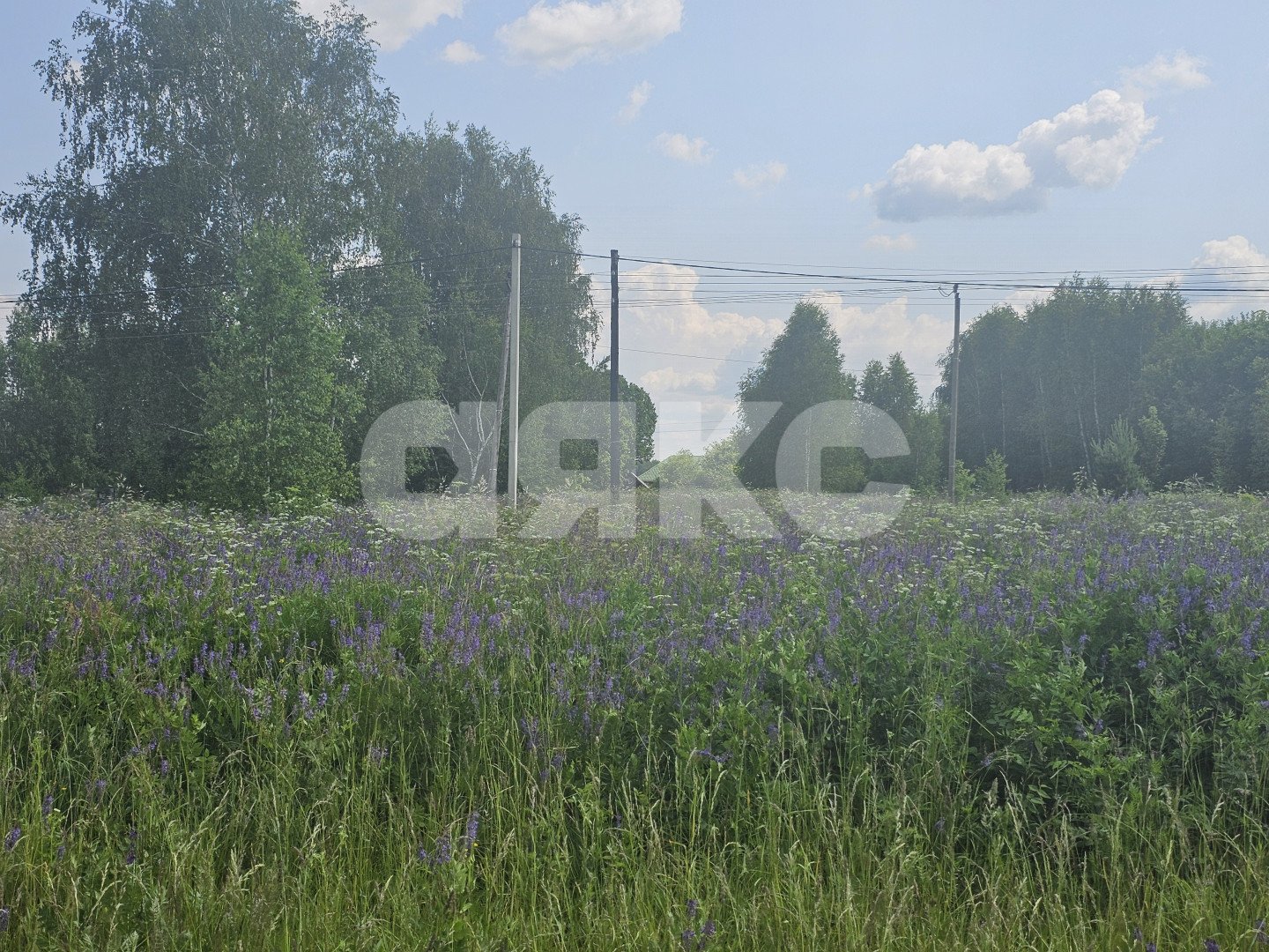 Фото №5: Земельный участок под ИЖС 26.5 сот. - Городня