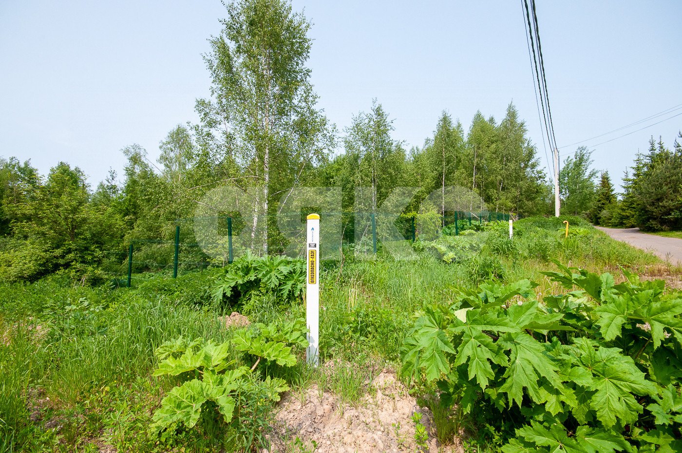 Фото №12: Земельный участок под ИЖС 1553 сот. - Московская область Дмитровский муниципальный округ