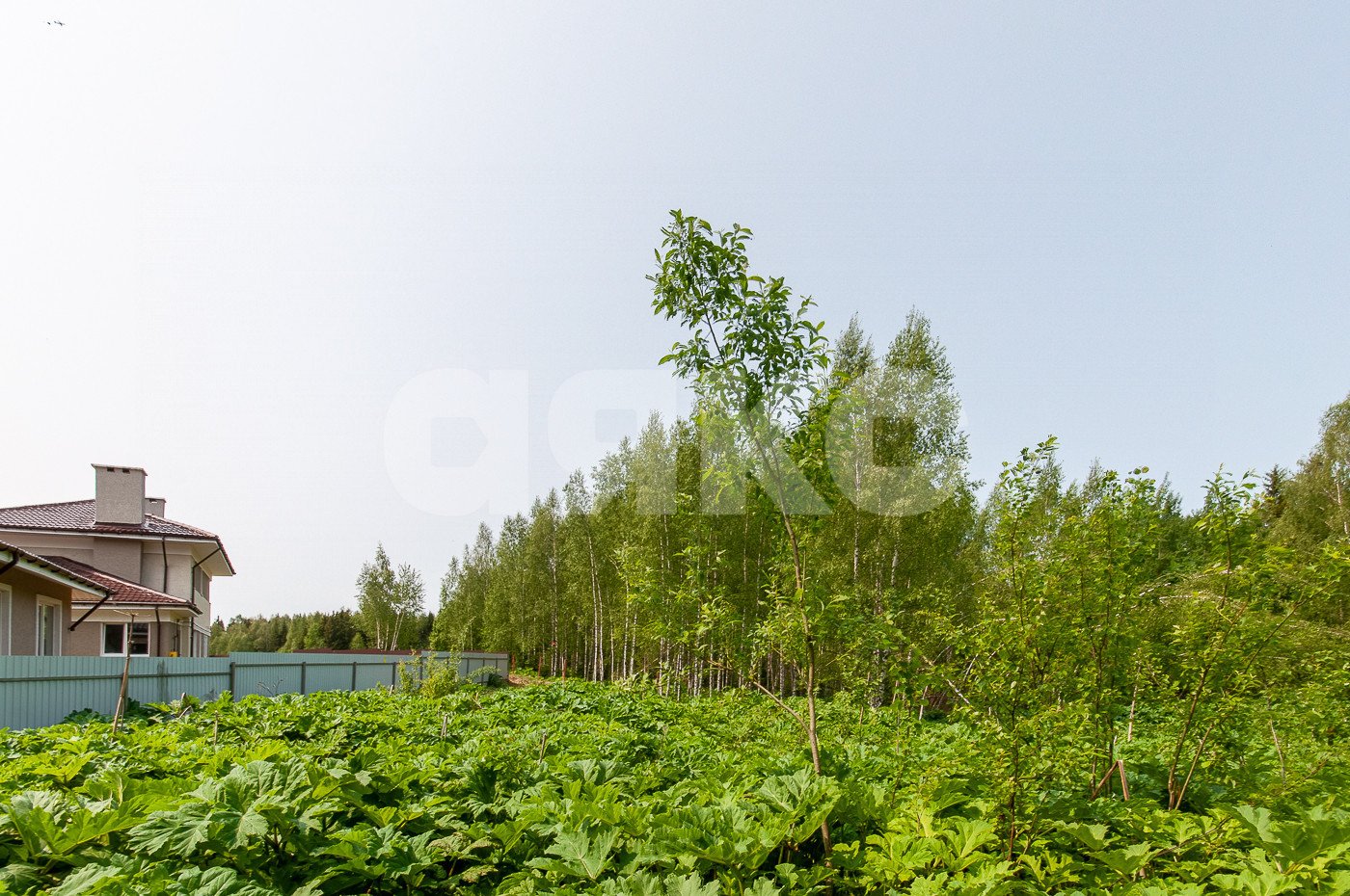 Фото №3: Земельный участок под ИЖС 1553 сот. - Московская область Дмитровский муниципальный округ