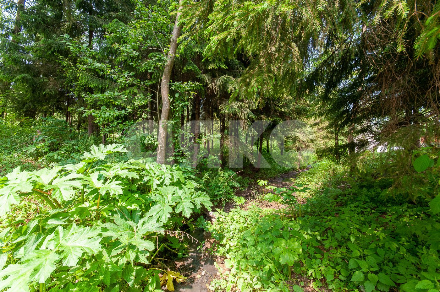 Фото №9: Земельный участок под ИЖС 1553 сот. - Московская область Дмитровский муниципальный округ