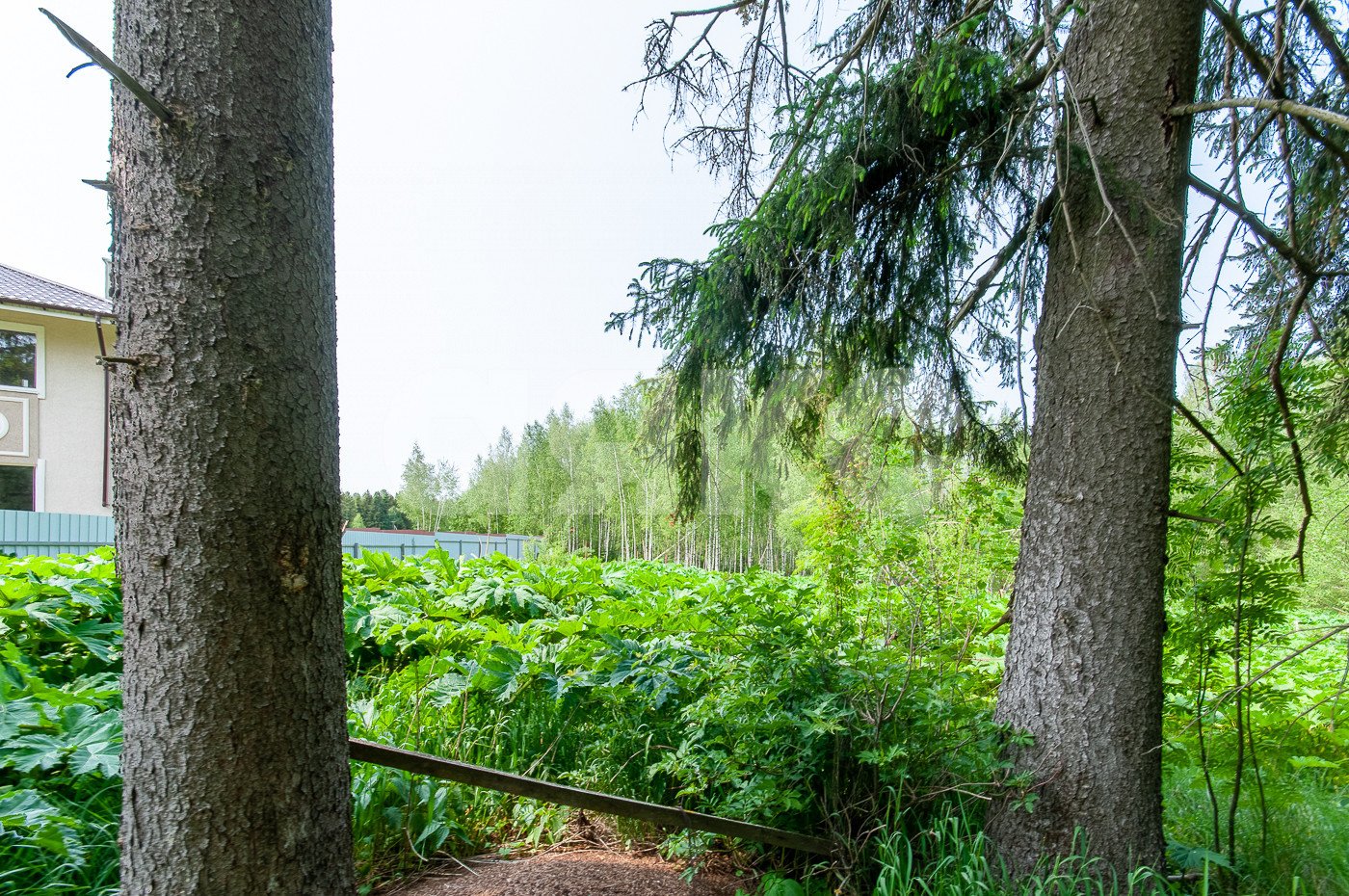 Фото №4: Земельный участок под ИЖС 1553 сот. - Московская область Дмитровский муниципальный округ