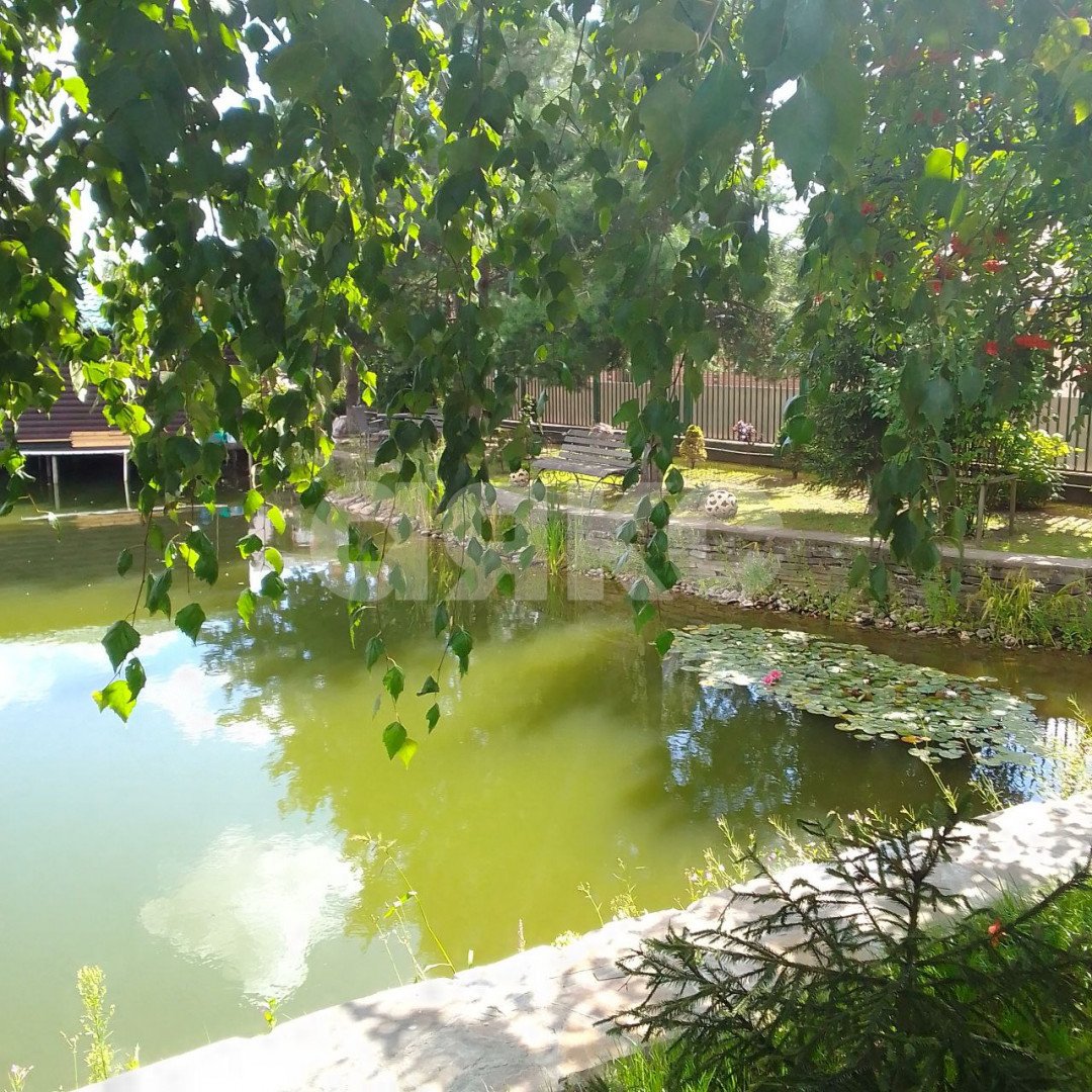 Фото №11: Участок садоводство 620 сот. - Дудкино, мкр. СНТ Дудкино, 67