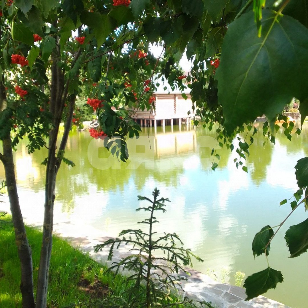 Фото №3: Участок садоводство 620 сот. - Дудкино, мкр. СНТ Дудкино, 67