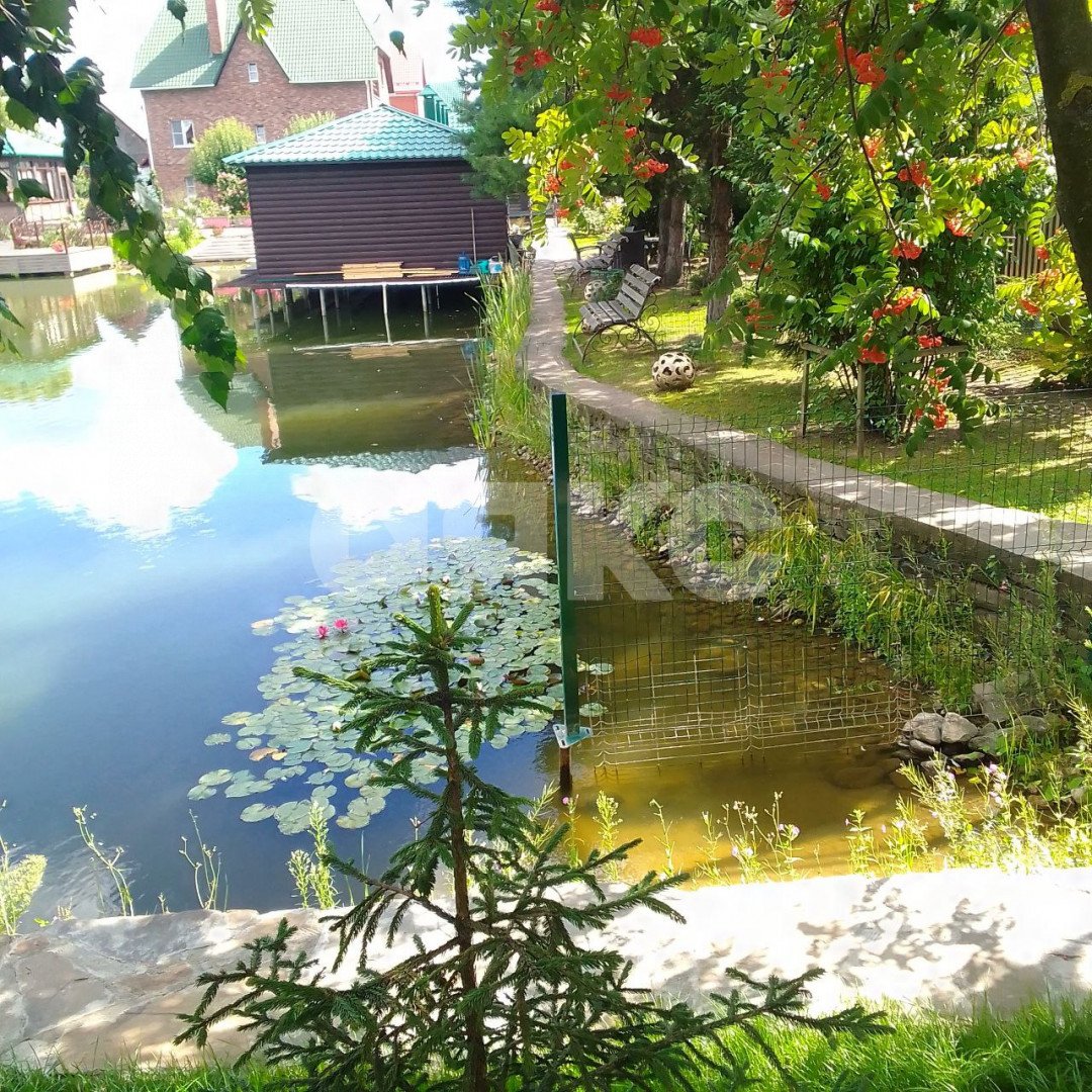 Фото №9: Участок садоводство 620 сот. - Дудкино, мкр. СНТ Дудкино, 67