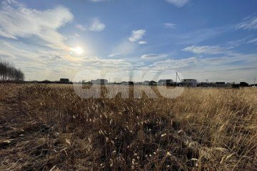Фото №2: Личное подсобное хозяйство - дачный  Фестиваль, 2002