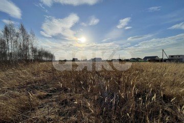 Фото №1: Личное подсобное хозяйство - дачный  Фестиваль, 2002