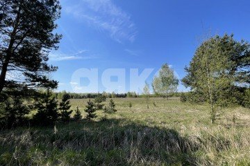 Фото №5: Земельный участок под ИЖС - Бахтеево, 