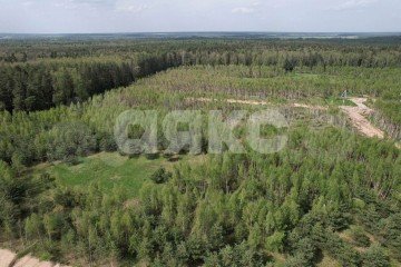 Фото №3: Участок садоводство - Слободка, 