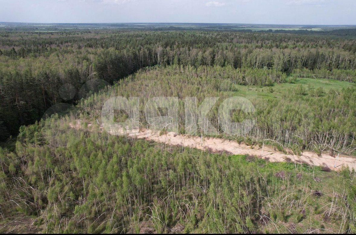 Фото №6: Участок садоводство 14.4 сот. - Слободка