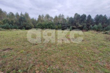 Фото №4: Земельный участок под ИЖС - Ёлкино, 