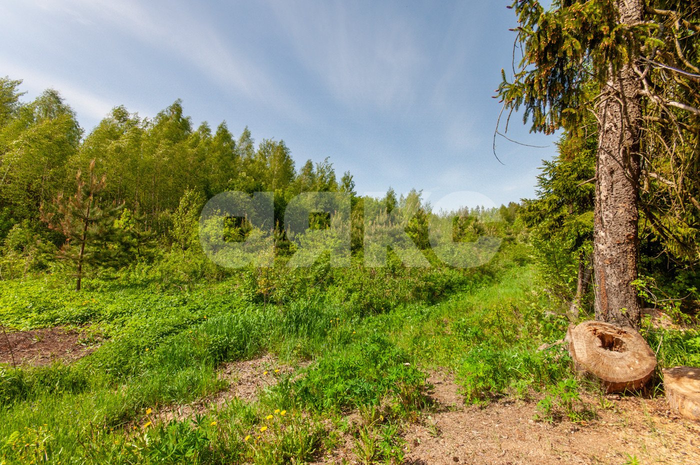 Фото №44: Дом 110 м² + 9 сот. - Эскулап, 80