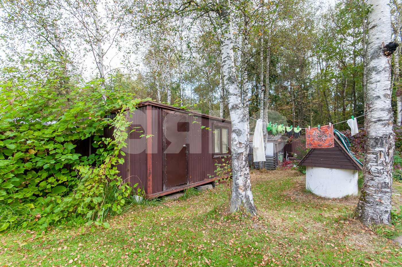 Фото №41: Дом 110 м² + 9 сот. - Эскулап, 80