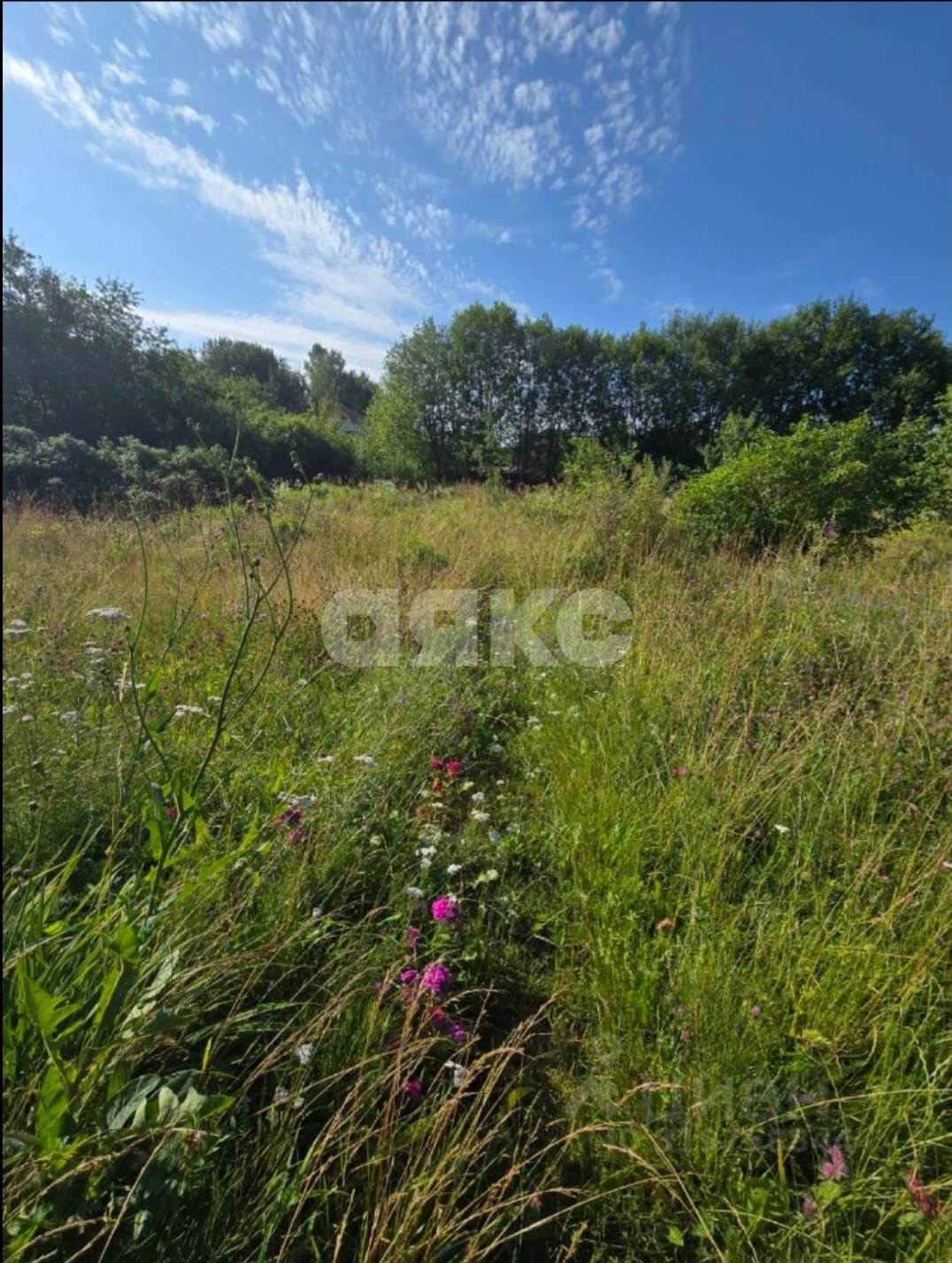 Фото №4: Земельный участок под ИЖС 10 сот. - Новая Ольховка