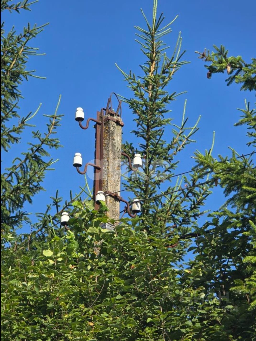 Фото №5: Земельный участок под ИЖС 10 сот. - Новая Ольховка