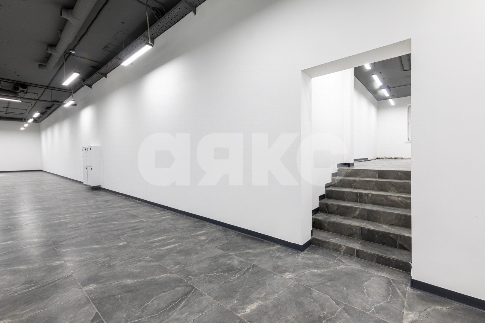 Фото №14: Коммерция 907 м² - Москва, р. Лосиноостровский, ул. Челюскинская, 9