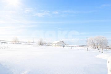 Фото №1: Личное подсобное хозяйство - Аринино, 74