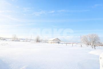 Фото №2: Личное подсобное хозяйство - Аринино, 74