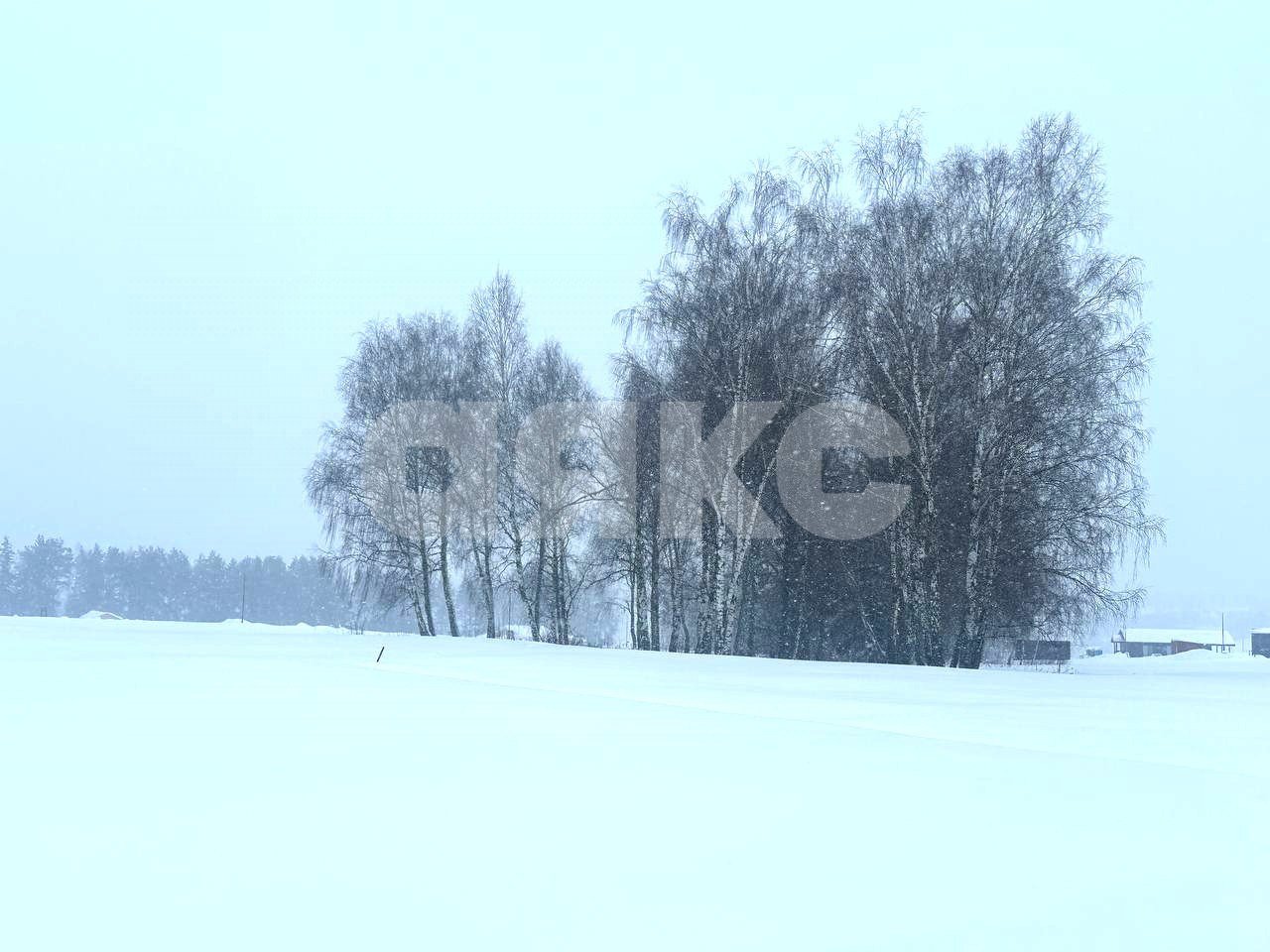 Фото №8: Земельный участок под ИЖС 8.5 сот. - Семёновское