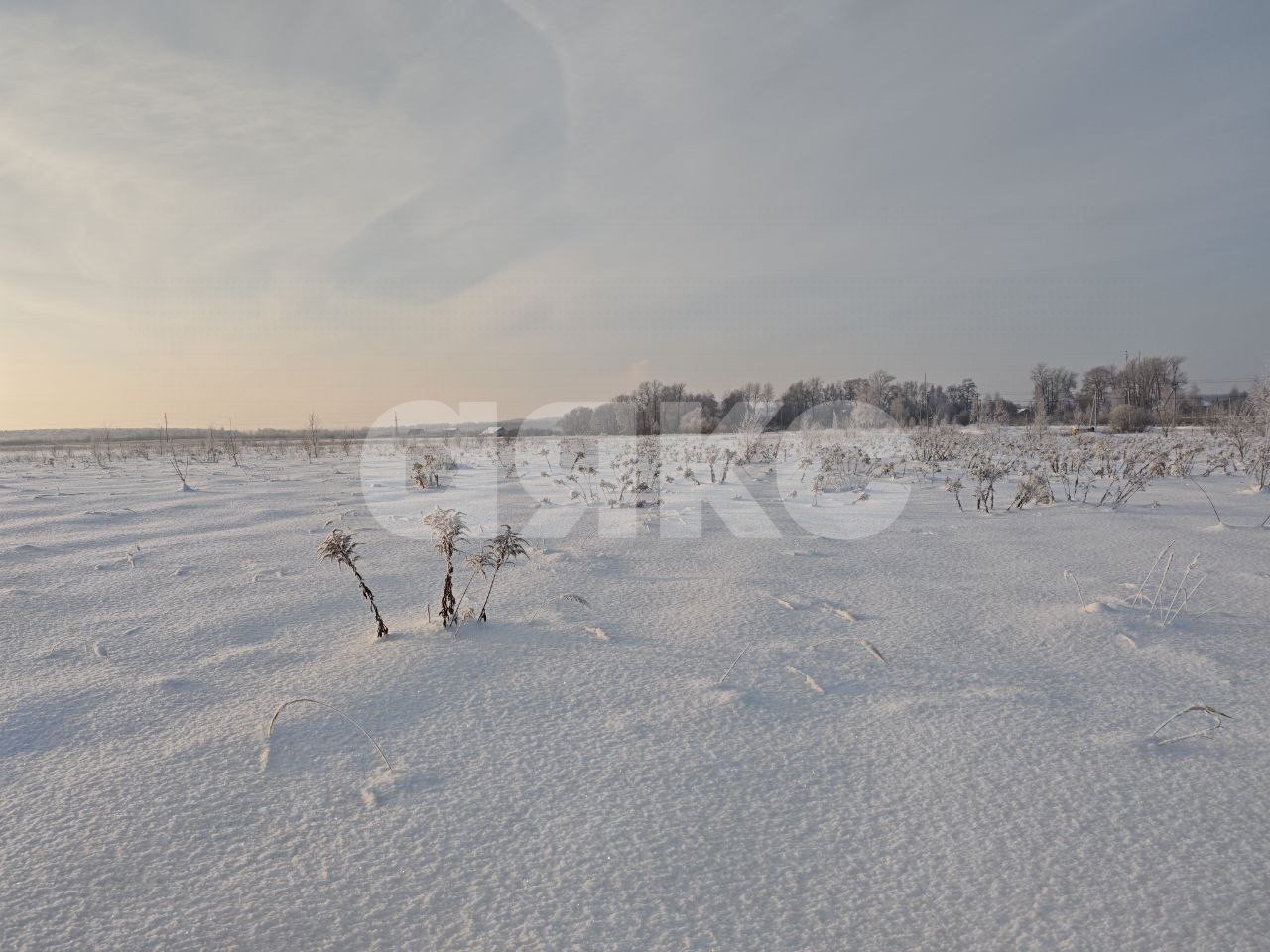 Фото №1: Земельный участок под ИЖС 2.6 сот. - Андреевка, 19