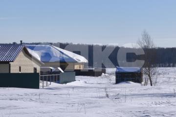 Фото №4: Личное подсобное хозяйство - Карпово, ул. Каштановая