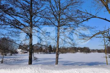 Фото №5: Личное подсобное хозяйство - Карпово, ул. Каштановая